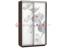 Комплект дверей-купе Экспресс Фотопечать Орхидея белая (2двери) 2200х600